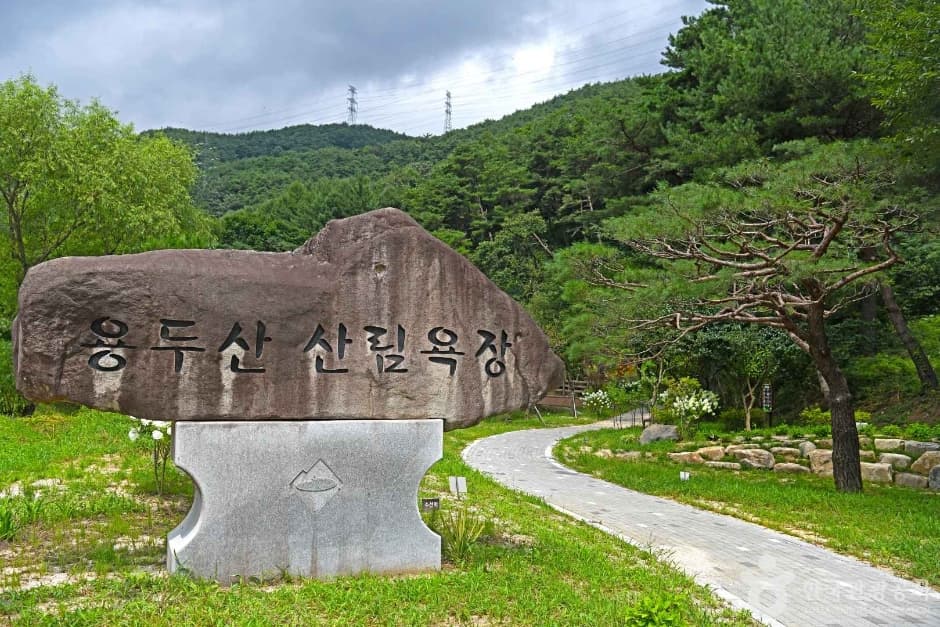 반려동물과 함께하는 충북 코스