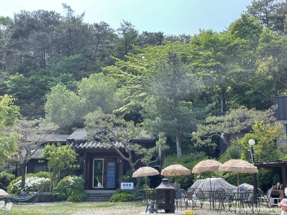 커플에게 인기 있는 충북 코스