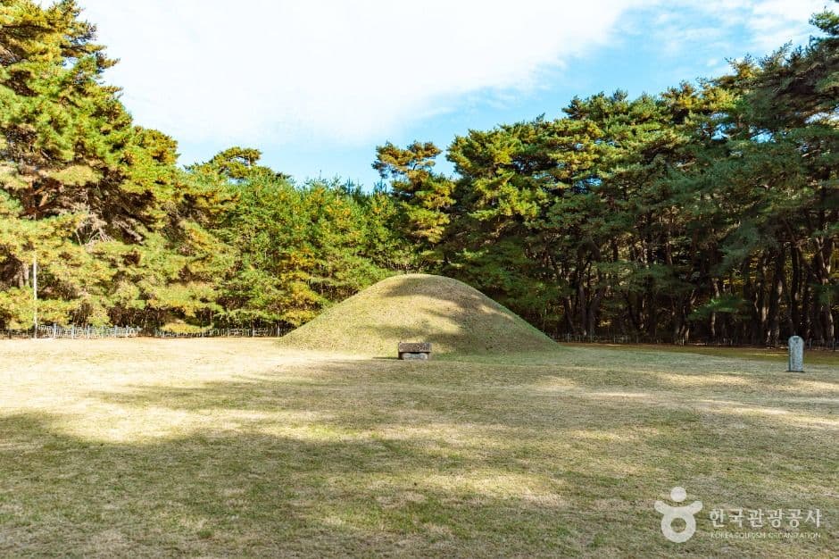 경주 산·트레킹 코스