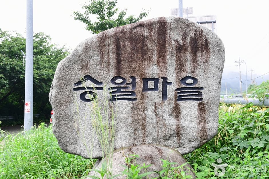 혼자 떠나기 좋은 여수 코스