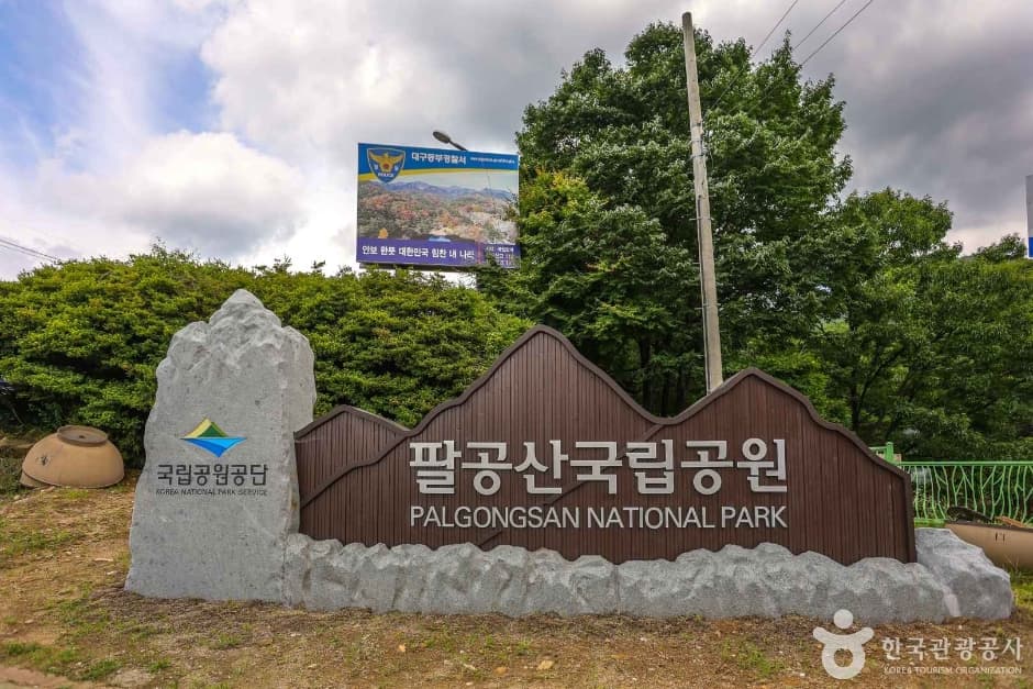 반려동물과 함께하는 대구 코스