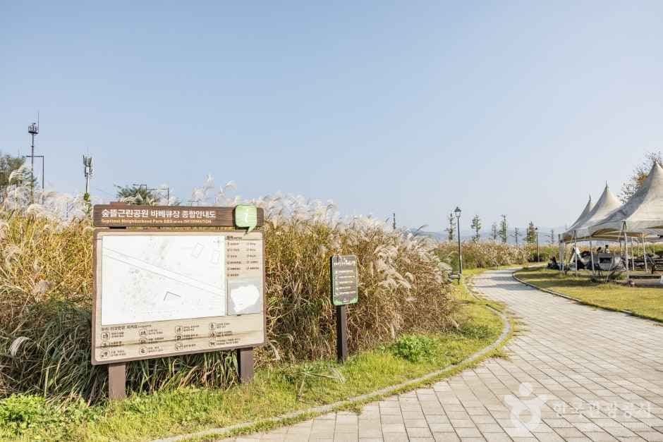 혼자 떠나기 좋은 세종 코스