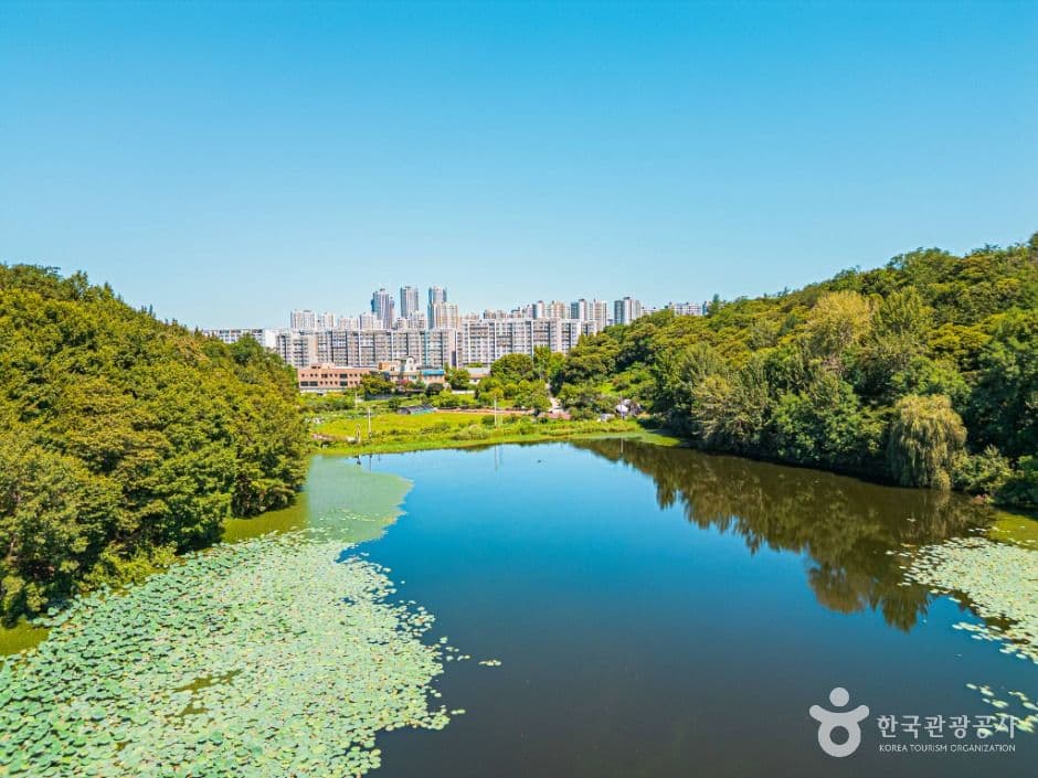 전주 자연·힐링 코스