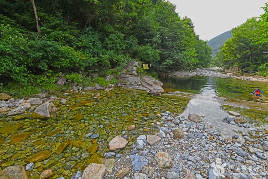 충북 산·트레킹 코스