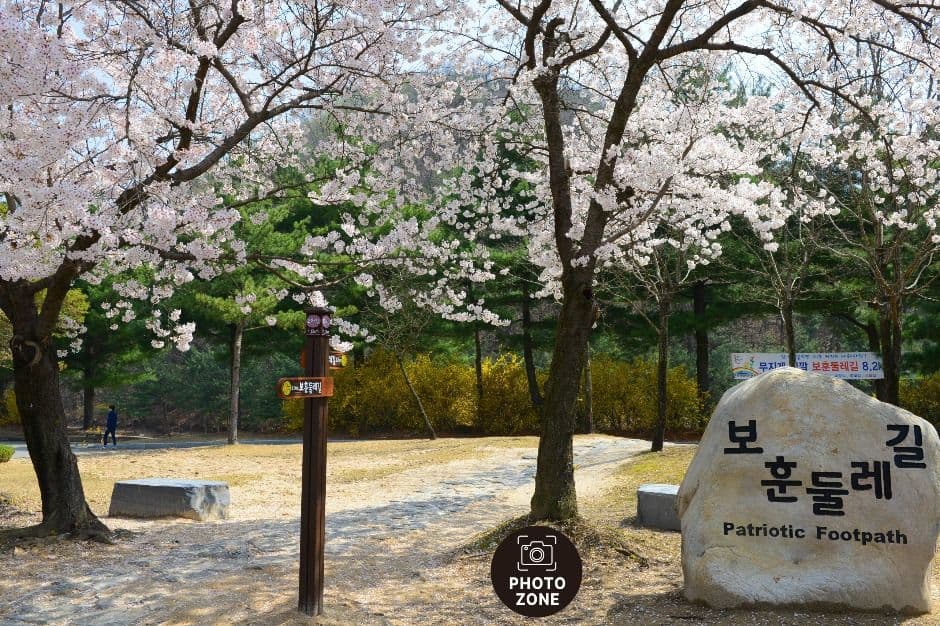 대전 산·트레킹 코스