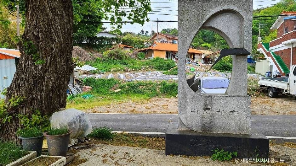 반려동물과 함께하는 세종 코스