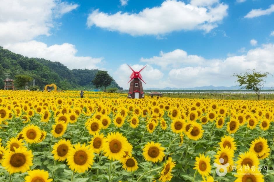 혼자 떠나기 좋은 인천 코스